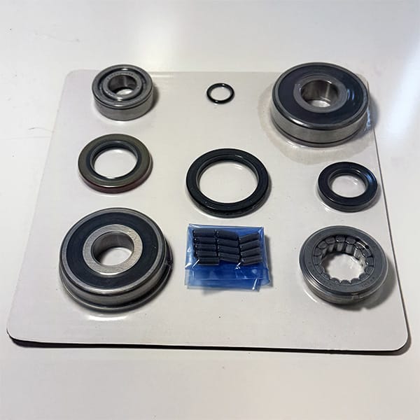 Bearing & Seal Overhaul Kit