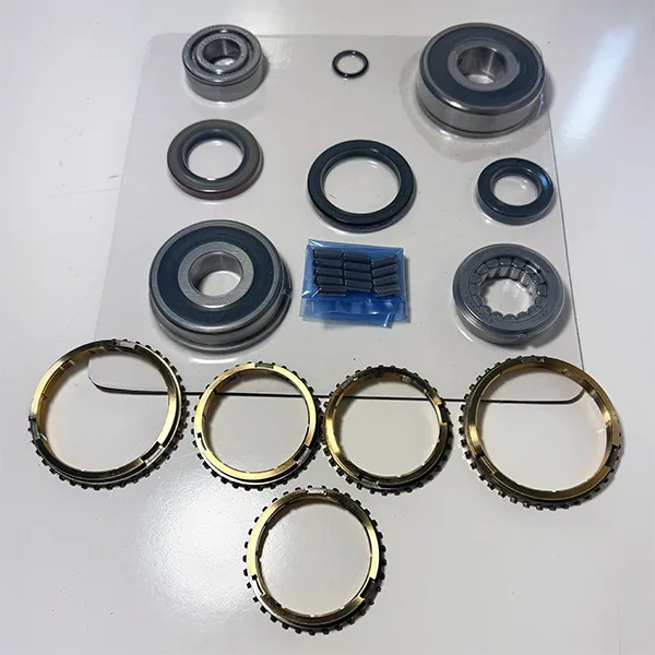 Bearing/Seal/Synchronizer Ring Overhaul Kit